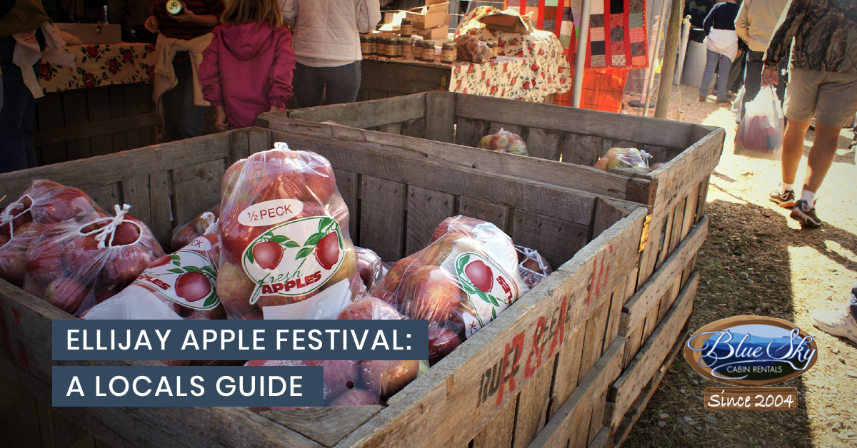 Ellijay Apple Festival 2020 Information & Event Blue Sky Cabin Rentals